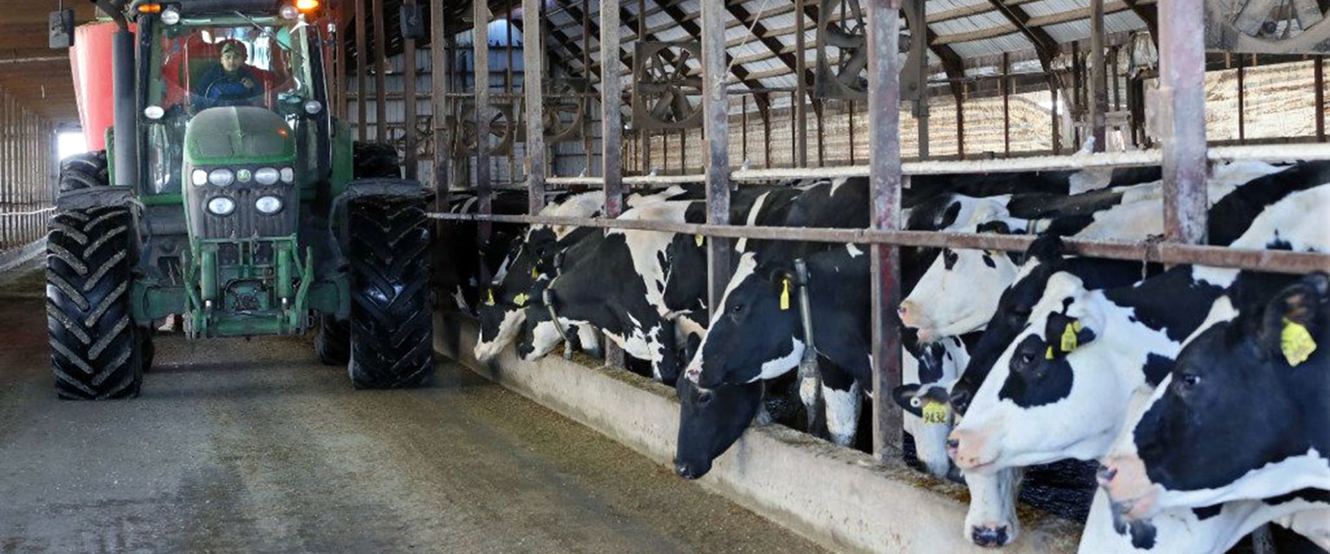 What Services Do Dairy Industries in Eau Claire, Wisconsin Offer to Their Customers?