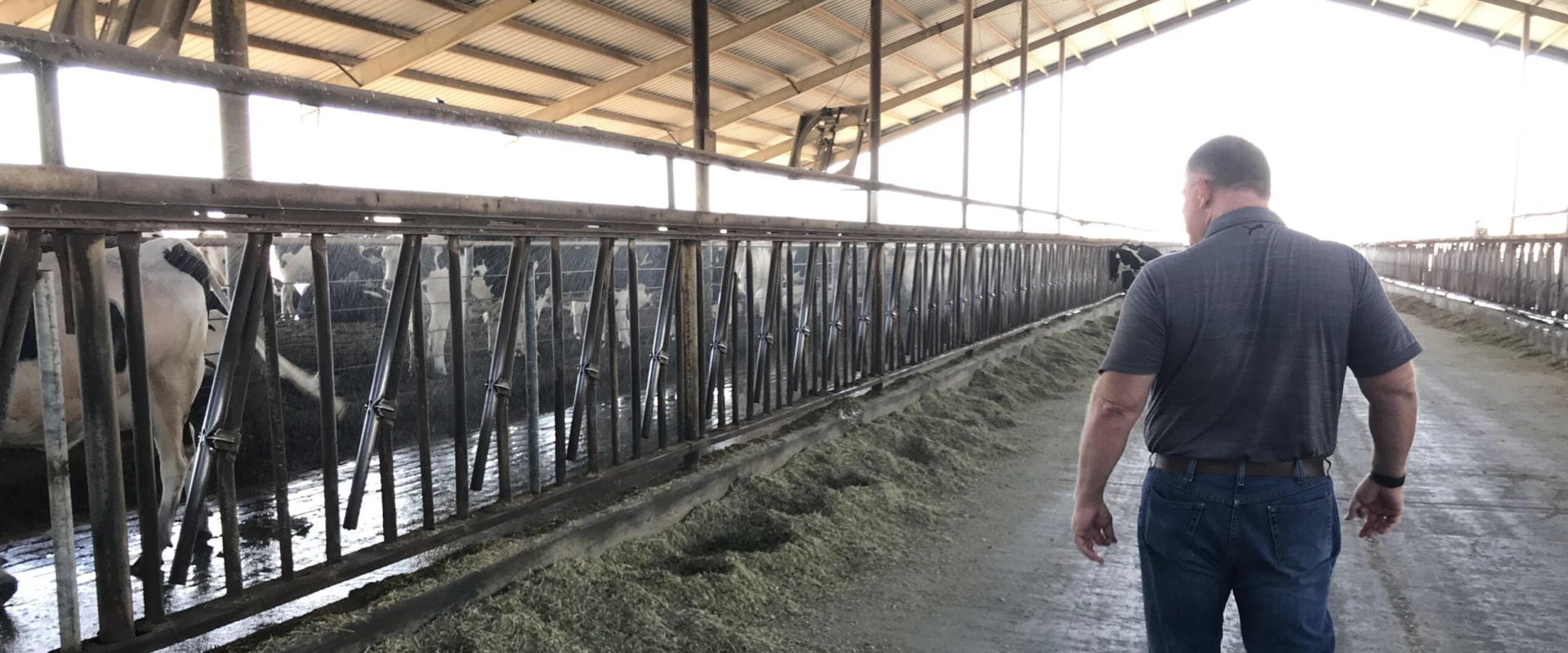 Partnerships between Local Businesses and Dairy Industries in Eau Claire, Wisconsin