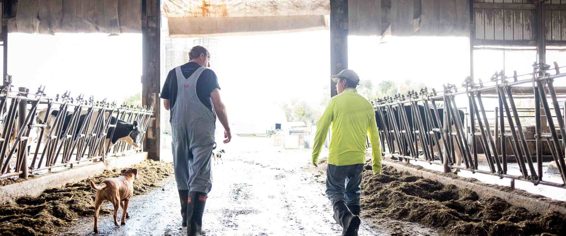 Collaborations between Local Businesses and Dairy Industries in Eau Claire, Wisconsin